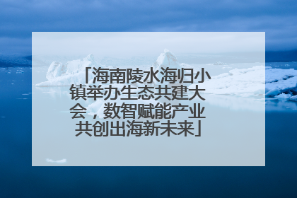 海南陵水海归小镇举办生态共建大会，数智赋能产业共创出海新未来