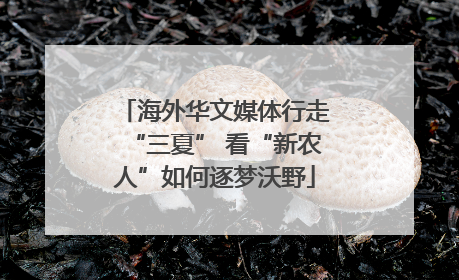海外华文媒体行走“三夏” 看“新农人”如何逐梦沃野