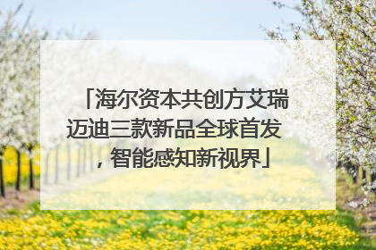 海尔资本共创方艾瑞迈迪三款新品全球首发，智能感知新视界
