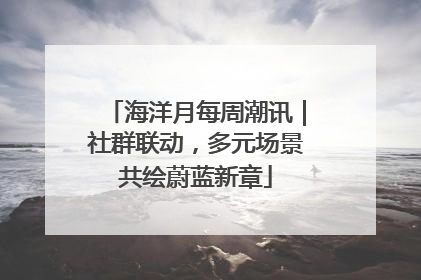 海洋月每周潮讯｜社群联动，多元场景共绘蔚蓝新章