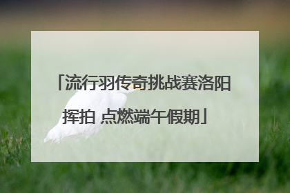 流行羽传奇挑战赛洛阳挥拍 点燃端午假期