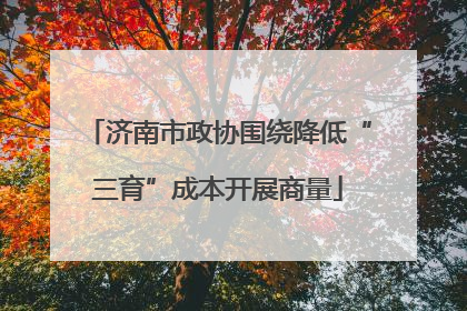 济南市政协围绕降低“三育”成本开展商量