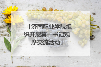 济南职业学院组织开展第一书记观摩交流活动