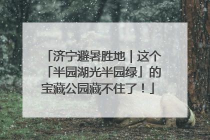 济宁避暑胜地｜这个「半园湖光半园绿」的宝藏公园藏不住了！