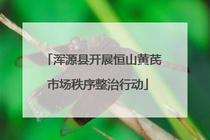 浑源县开展恒山黄芪市场秩序整治行动