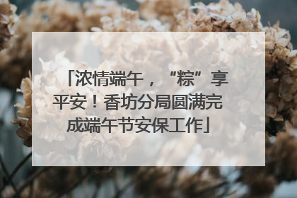 浓情端午，“粽”享平安！香坊分局圆满完成端午节安保工作