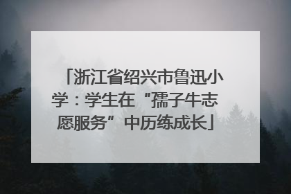 浙江省绍兴市鲁迅小学：学生在“孺子牛志愿服务”中历练成长