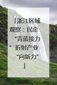 浙江区域观察：民企“青蓝接力”折射产业“向新力”