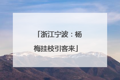 浙江宁波：杨梅挂枝引客来