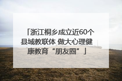 浙江桐乡成立近60个县域教联体 做大心理健康教育“朋友圈”