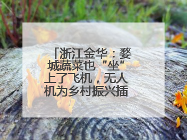 浙江金华：婺城蔬菜也“坐”上了飞机，无人机为乡村振兴插上“翅膀”