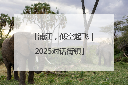 浦江，低空起飞｜2025对话街镇