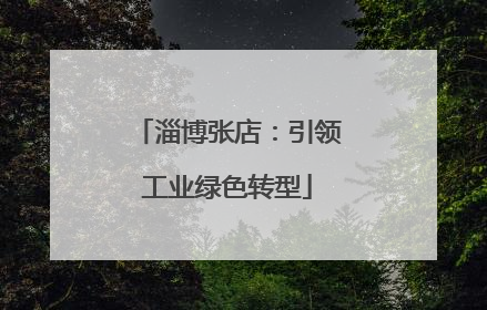 淄博张店：引领工业绿色转型