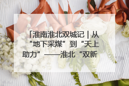 淮南淮北双城记｜从“地下采煤”到“天上助力”——淮北“双新”产业突围记