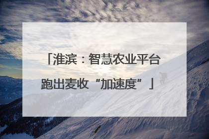 淮滨：智慧农业平台跑出麦收“加速度”