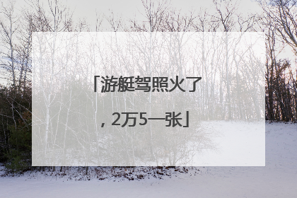 游艇驾照火了，2万5一张