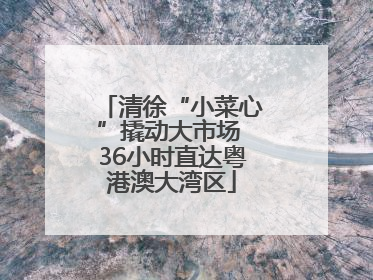 清徐“小菜心”撬动大市场 36小时直达粤港澳大湾区