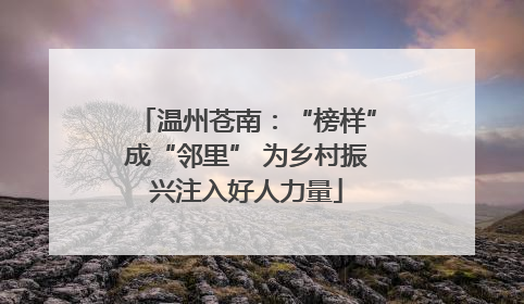 温州苍南：“榜样”成“邻里” 为乡村振兴注入好人力量