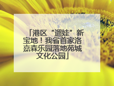 港区“遛娃”新宝地！我省首家洛嘉森乐园落地苑城文化公园