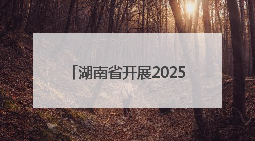 湖南省开展2025年全国“放鱼日” 7200多万尾鱼苗游入“一湖四水”
