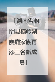 湖南省湘阴县横岭湖麋鹿家族再添三名新成员