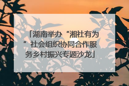 湖南举办“湘社有为”社会组织协同合作服务乡村振兴专题沙龙