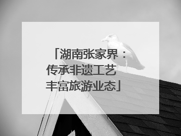 湖南张家界：传承非遗工艺 丰富旅游业态