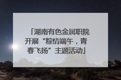 湖南有色金属职院开展“粽情端午，青春飞扬”主题活动