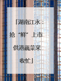 湖南江永：抢“鲜”上市 供港蔬菜采收忙