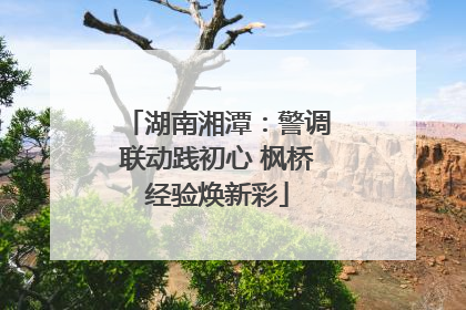 湖南湘潭：警调联动践初心 枫桥经验焕新彩