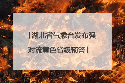 湖北省气象台发布强对流黄色省级预警