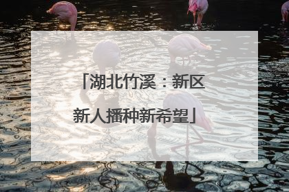 湖北竹溪：新区新人播种新希望