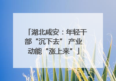 湖北咸安：年轻干部“沉下去” 产业动能“涨上来”