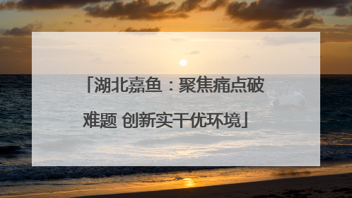 湖北嘉鱼：聚焦痛点破难题 创新实干优环境