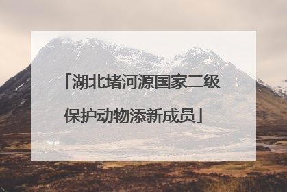 湖北堵河源国家二级保护动物添新成员