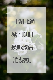 湖北通城：以旧换新激活消费热