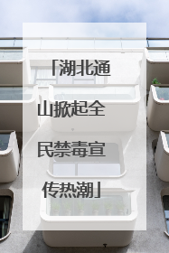湖北通山掀起全民禁毒宣传热潮