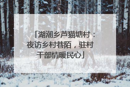 湖潮乡芦猫塘村：夜访乡村巷陌，驻村干部情暖民心