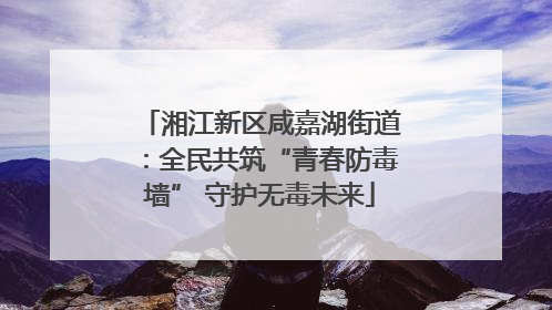湘江新区咸嘉湖街道：全民共筑“青春防毒墙” 守护无毒未来