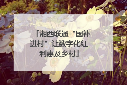 湘西联通“国补进村”让数字化红利惠及乡村