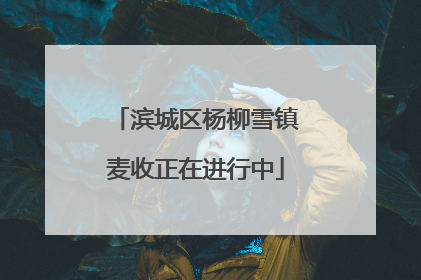 滨城区杨柳雪镇麦收正在进行中