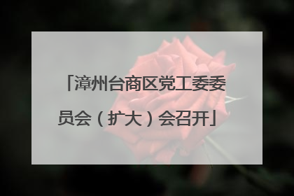 漳州台商区党工委委员会（扩大）会召开
