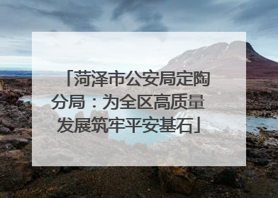 菏泽市公安局定陶分局：为全区高质量发展筑牢平安基石