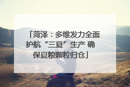 菏泽：多维发力全面护航“三夏”生产 确保夏粮颗粒归仓