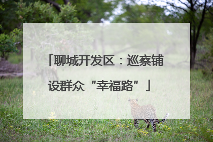 聊城开发区：巡察铺设群众“幸福路”