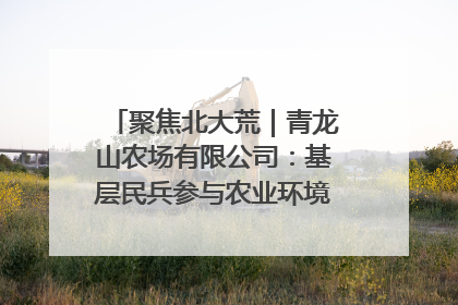 聚焦北大荒｜青龙山农场有限公司：基层民兵参与农业环境综合治理显效