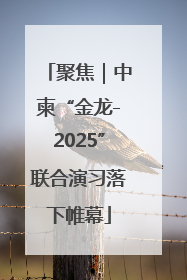 聚焦｜中柬“金龙-2025”联合演习落下帷幕