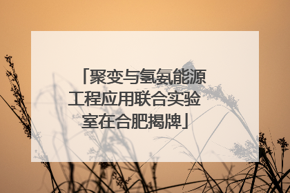 聚变与氢氨能源工程应用联合实验室在合肥揭牌