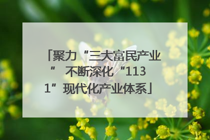 聚力“三大富民产业” 不断深化“1131”现代化产业体系
