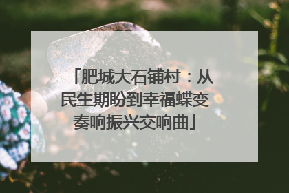 肥城大石铺村：从民生期盼到幸福蝶变奏响振兴交响曲